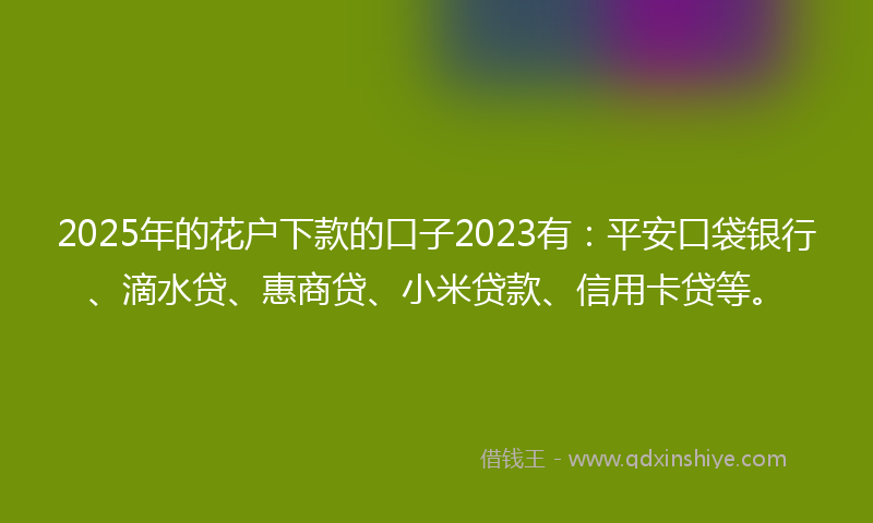 2025年的花户下款的口子2023有：平安口袋银行、滴水贷、惠商贷、小米贷款、信用卡贷等。