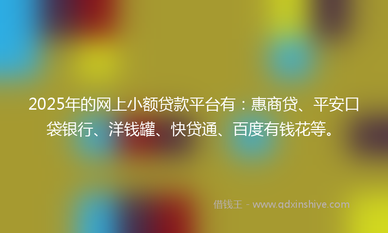 2025年的网上小额贷款平台有：惠商贷、平安口袋银行、洋钱罐、快贷通、百度有钱花等。