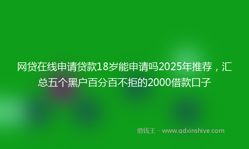 网贷在线申请贷款18岁能申请吗2025年推荐，汇总五个黑户百分百不拒的2000借款口子