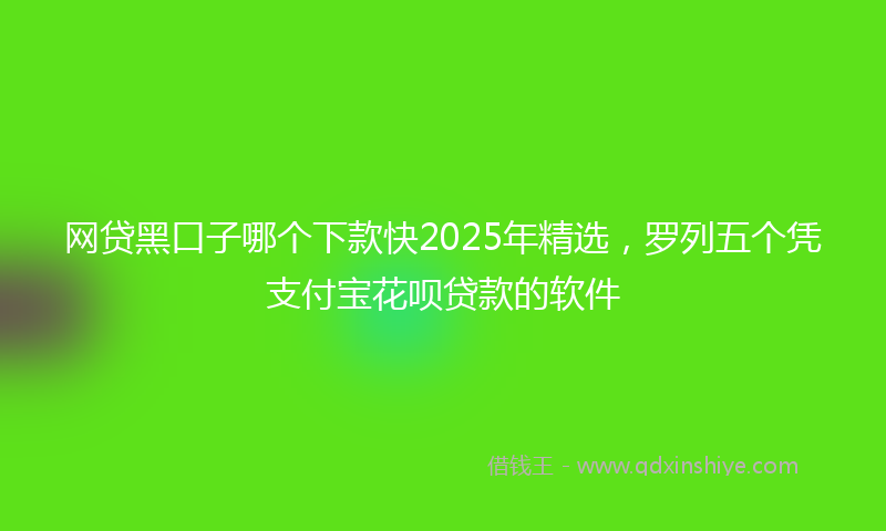 网贷黑口子哪个下款快2025年精选，罗列五个凭支付宝花呗贷款的软件