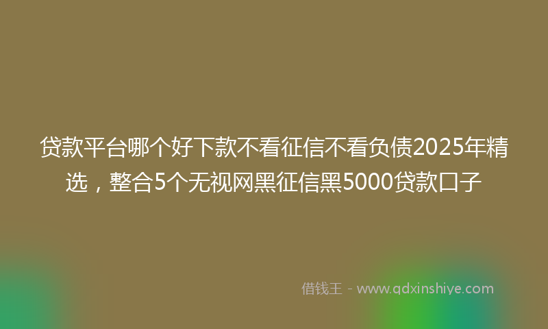 贷款平台哪个好下款不看征信不看负债2025年精选，整合5个无视网黑征信黑5000贷款口子