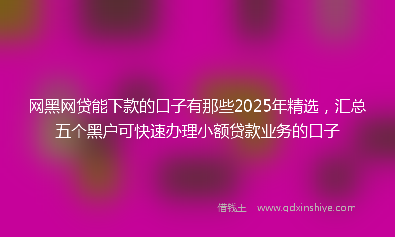 网黑网贷能下款的口子有那些2025年精选，汇总五个黑户可快速办理小额贷款业务的口子