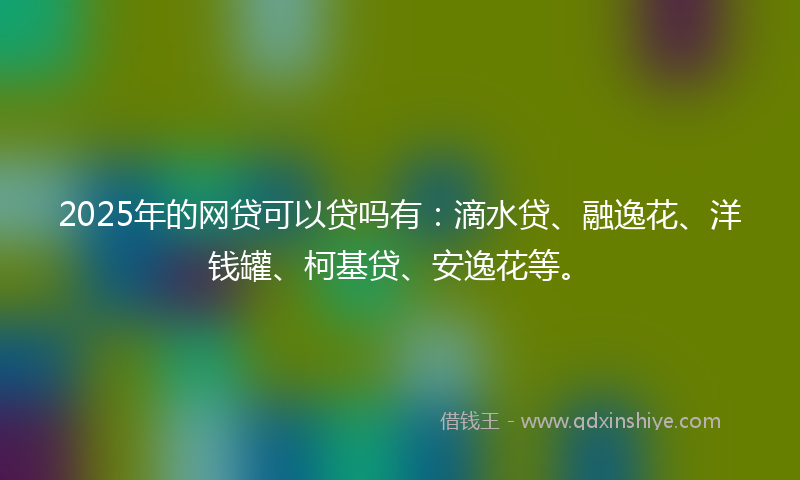 2025年的网贷可以贷吗有：滴水贷、融逸花、洋钱罐、柯基贷、安逸花等。