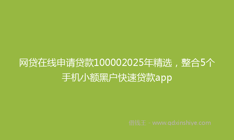 网贷在线申请贷款100002025年精选，整合5个手机小额黑户快速贷款app