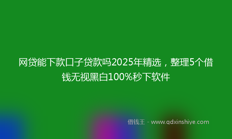 网贷能下款口子贷款吗2025年精选，整理5个借钱无视黑白100%秒下软件