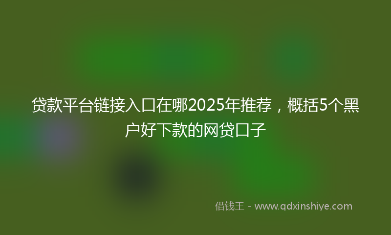 贷款平台链接入口在哪2025年推荐，概括5个黑户好下款的网贷口子
