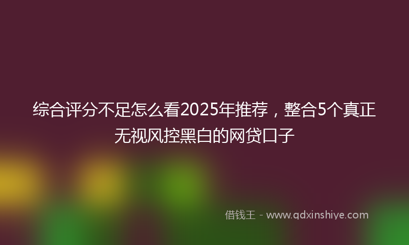 综合评分不足怎么看2025年推荐，整合5个真正无视风控黑白的网贷口子