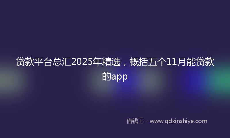 贷款平台总汇2025年精选，概括五个11月能贷款的app