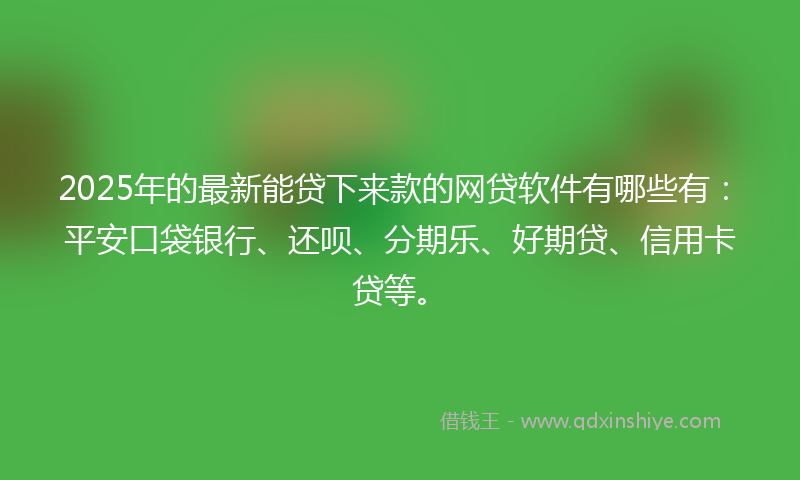 2025年的最新能贷下来款的网贷软件有哪些有：平安口袋银行、还呗、分期乐、好期贷、信用卡贷等。