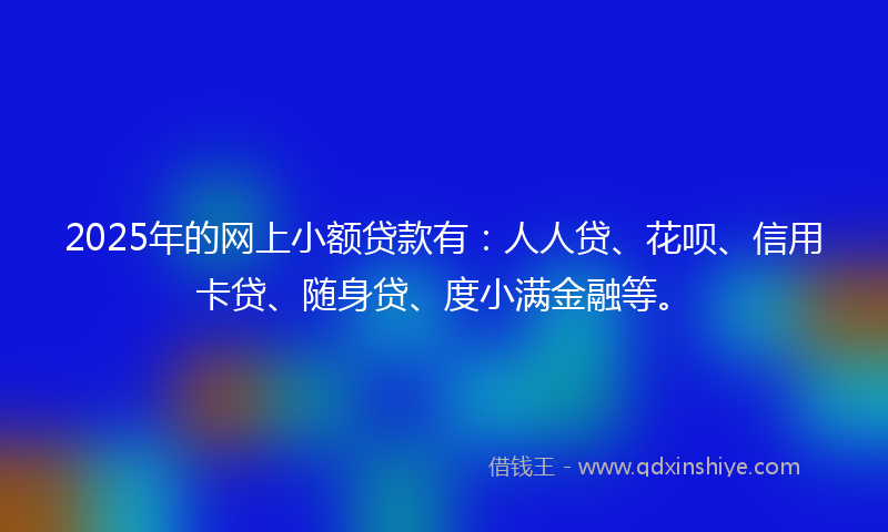 2025年的网上小额贷款有：人人贷、花呗、信用卡贷、随身贷、度小满金融等。