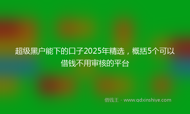 超级黑户能下的口子2025年精选，概括5个可以借钱不用审核的平台