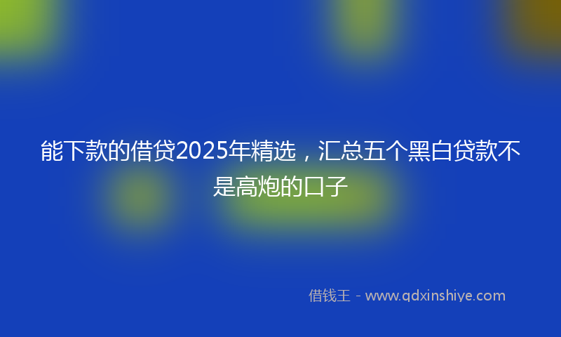 能下款的借贷2025年精选，汇总五个黑白贷款不是高炮的口子