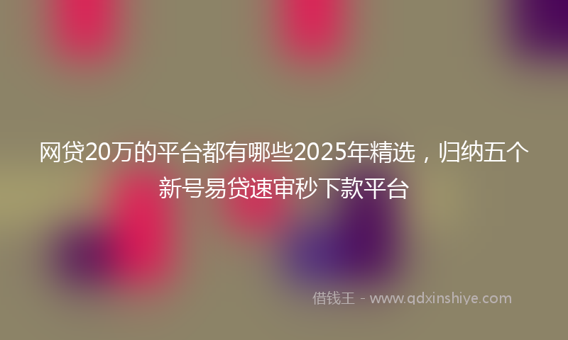网贷20万的平台都有哪些2025年精选，归纳五个新号易贷速审秒下款平台