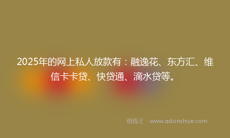2025年的网上私人放款有：融逸花、东方汇、维信卡卡贷、快贷通、滴水贷等。
