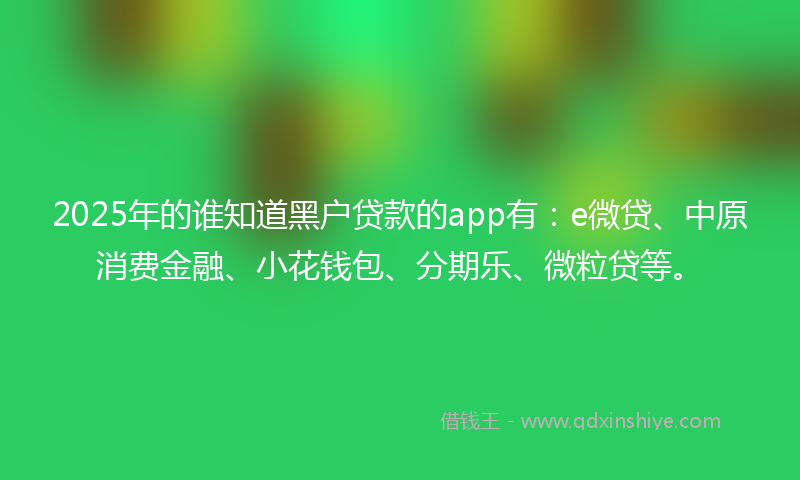 2025年的谁知道黑户贷款的app有：e微贷、中原消费金融、小花钱包、分期乐、微粒贷等。