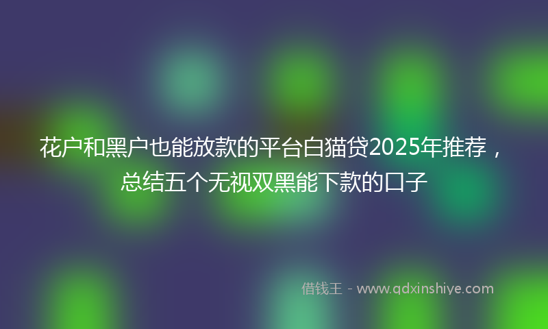 花户和黑户也能放款的平台白猫贷2025年推荐，总结五个无视双黑能下款的口子