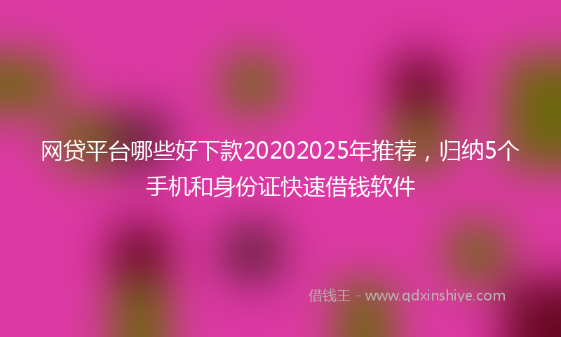 网贷平台哪些好下款20202025年推荐，归纳5个手机和身份证快速借钱软件