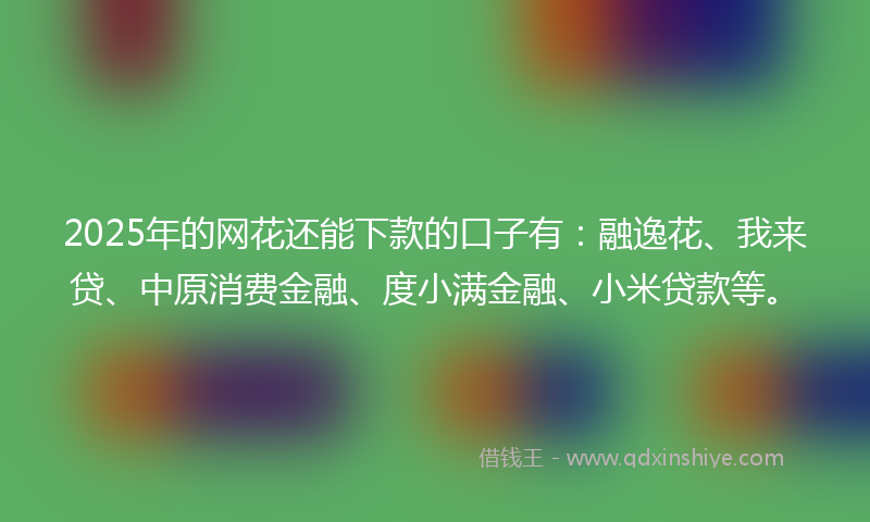 2025年的网花还能下款的口子有：融逸花、我来贷、中原消费金融、度小满金融、小米贷款等。