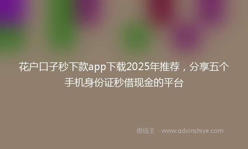 花户口子秒下款app下载2025年推荐，分享五个手机身份证秒借现金的平台