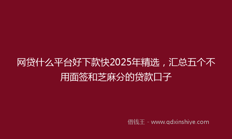 网贷什么平台好下款快2025年精选，汇总五个不用面签和芝麻分的贷款口子