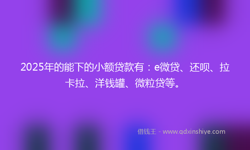 2025年的能下的小额贷款有：e微贷、还呗、拉卡拉、洋钱罐、微粒贷等。