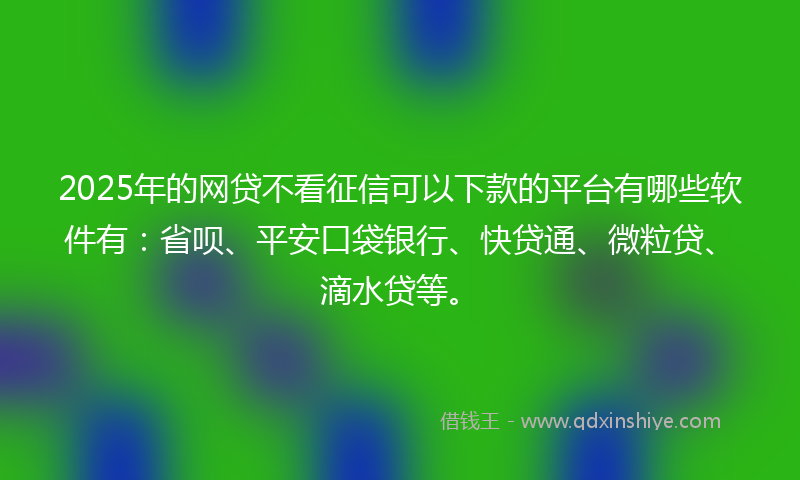 2025年的网贷不看征信可以下款的平台有哪些软件有：省呗、平安口袋银行、快贷通、微粒贷、滴水贷等。