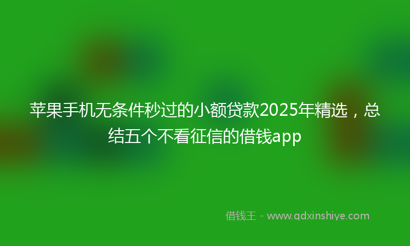 苹果手机无条件秒过的小额贷款2025年精选，总结五个不看征信的借钱app