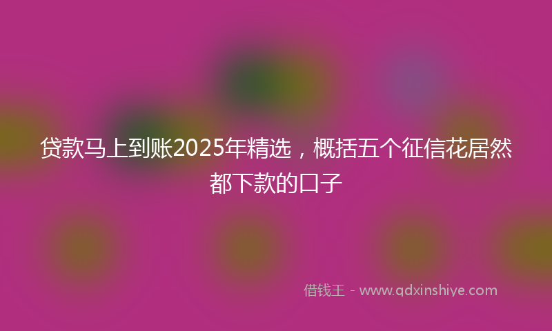 贷款马上到账2025年精选，概括五个征信花居然都下款的口子