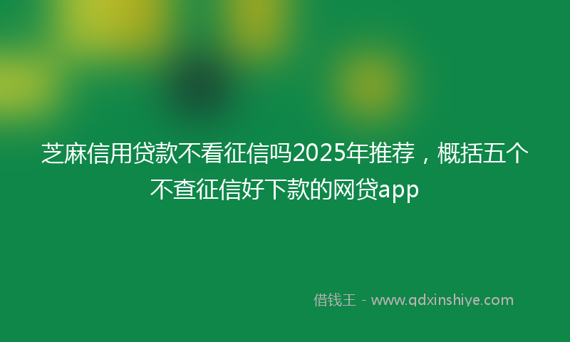 芝麻信用贷款不看征信吗2025年推荐，概括五个不查征信好下款的网贷app