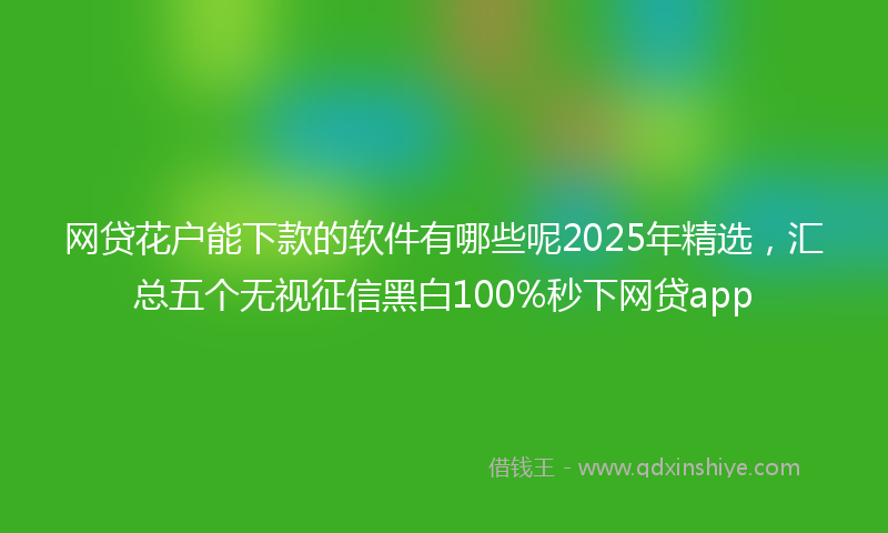 网贷花户能下款的软件有哪些呢2025年精选，汇总五个无视征信黑白100%秒下网贷app