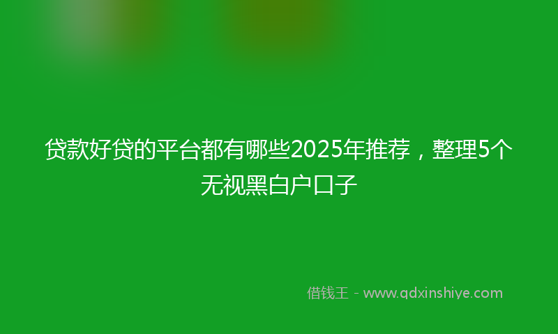 贷款好贷的平台都有哪些2025年推荐，整理5个无视黑白户口子