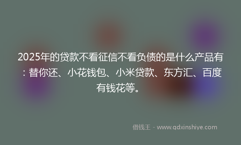 2025年的贷款不看征信不看负债的是什么产品有：替你还、小花钱包、小米贷款、东方汇、百度有钱花等。