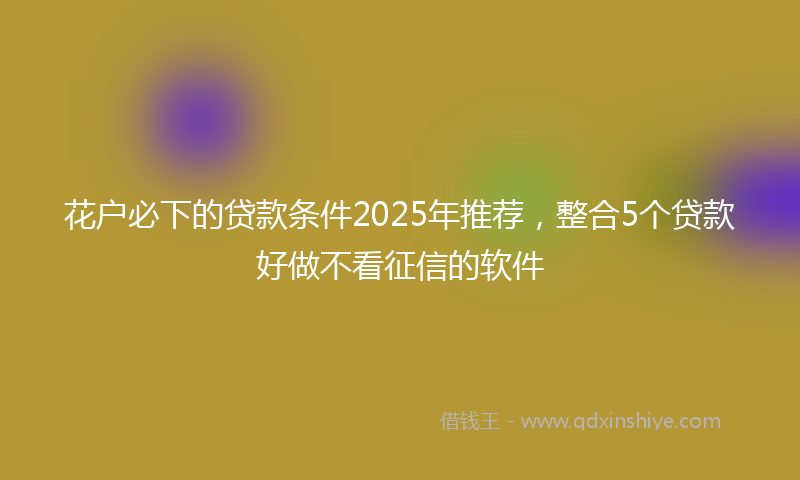 花户必下的贷款条件2025年推荐，整合5个贷款好做不看征信的软件