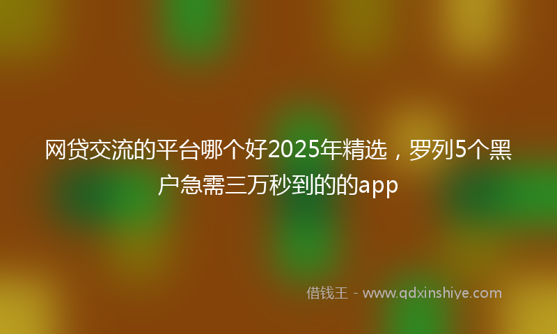 网贷交流的平台哪个好2025年精选，罗列5个黑户急需三万秒到的的app