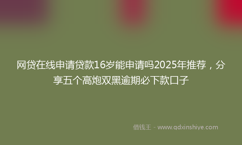 网贷在线申请贷款16岁能申请吗2025年推荐，分享五个高炮双黑逾期必下款口子
