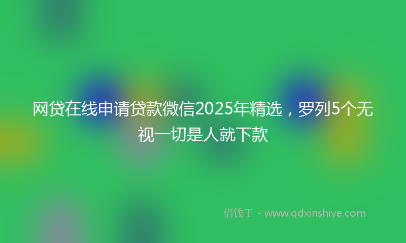 网贷在线申请贷款微信2025年精选，罗列5个无视一切是人就下款