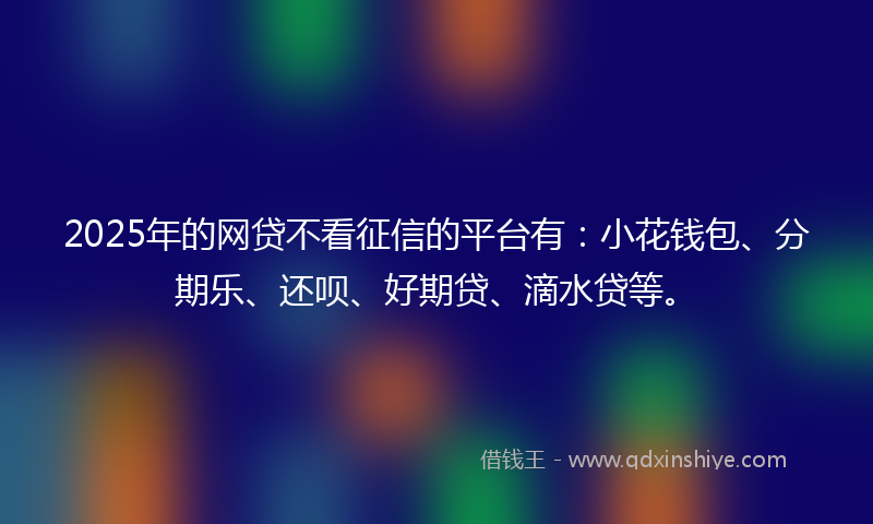 2025年的网贷不看征信的平台有：小花钱包、分期乐、还呗、好期贷、滴水贷等。