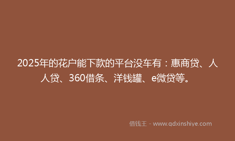 2025年的花户能下款的平台没车有：惠商贷、人人贷、360借条、洋钱罐、e微贷等。