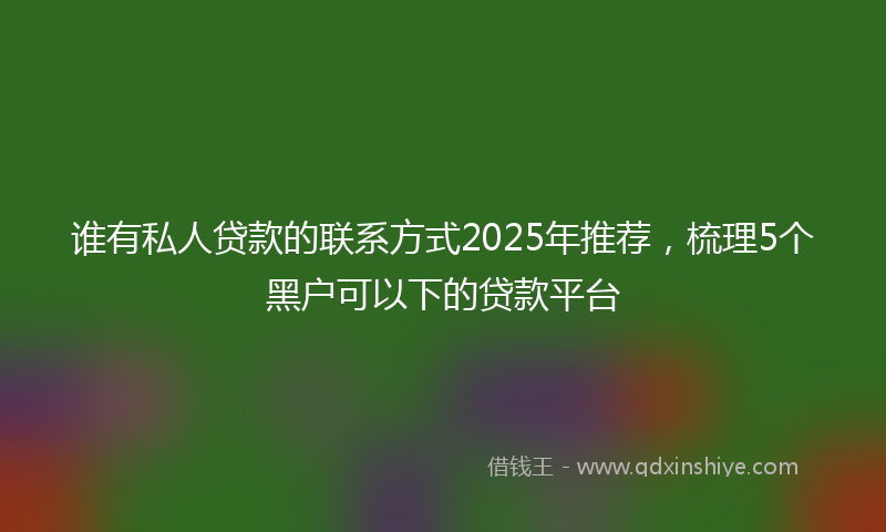 谁有私人贷款的联系方式2025年推荐，梳理5个黑户可以下的贷款平台
