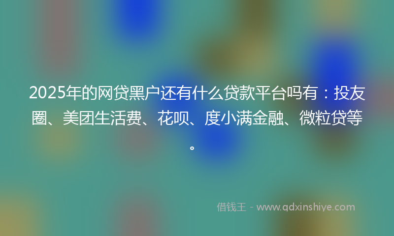 2025年的网贷黑户还有什么贷款平台吗有：投友圈、美团生活费、花呗、度小满金融、微粒贷等。