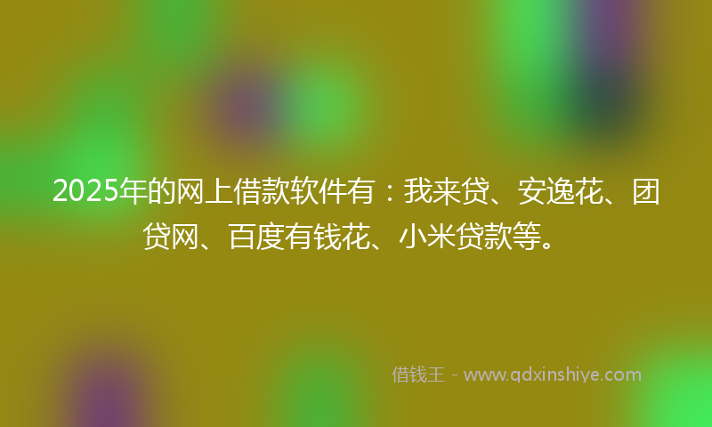 2025年的网上借款软件有：我来贷、安逸花、团贷网、百度有钱花、小米贷款等。