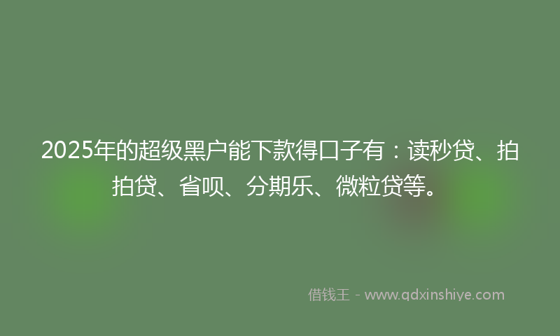 2025年的超级黑户能下款得口子有：读秒贷、拍拍贷、省呗、分期乐、微粒贷等。