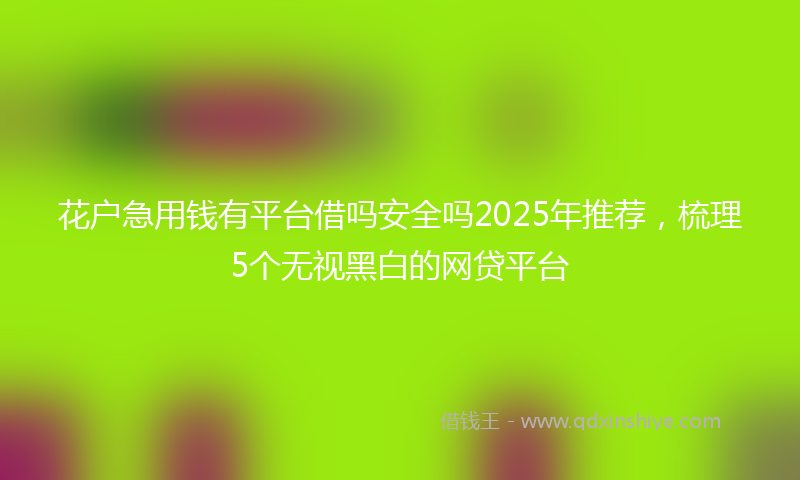 花户急用钱有平台借吗安全吗2025年推荐，梳理5个无视黑白的网贷平台