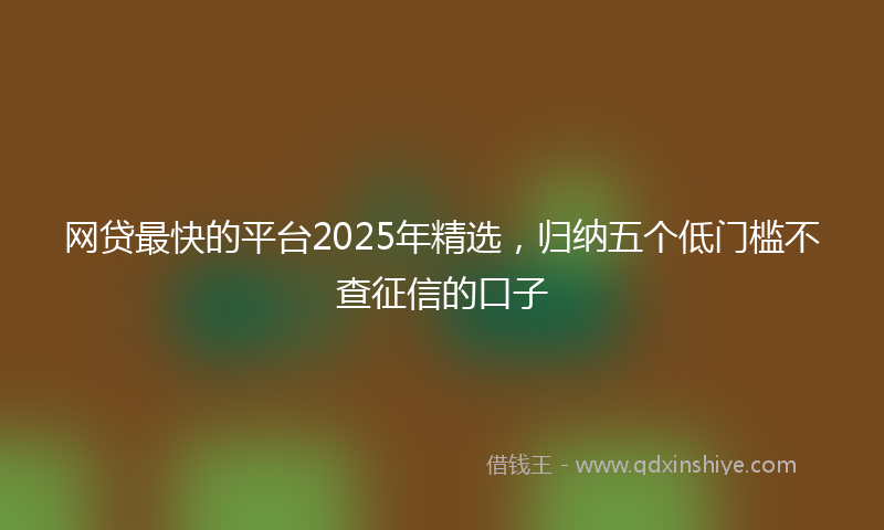 网贷最快的平台2025年精选，归纳五个低门槛不查征信的口子