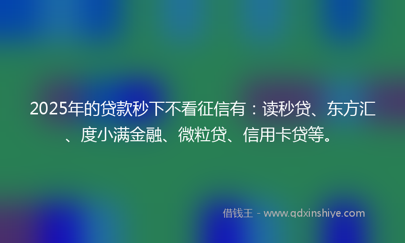 2025年的贷款秒下不看征信有：读秒贷、东方汇、度小满金融、微粒贷、信用卡贷等。