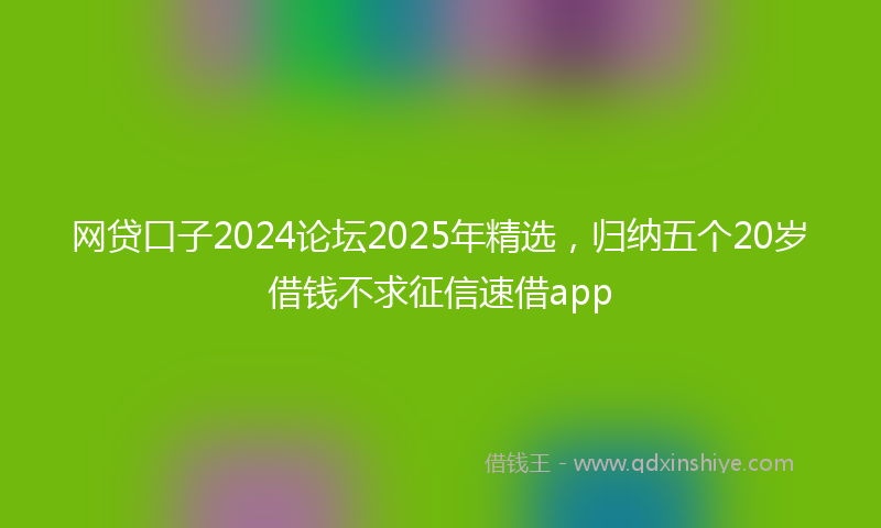 网贷口子2024论坛2025年精选，归纳五个20岁借钱不求征信速借app