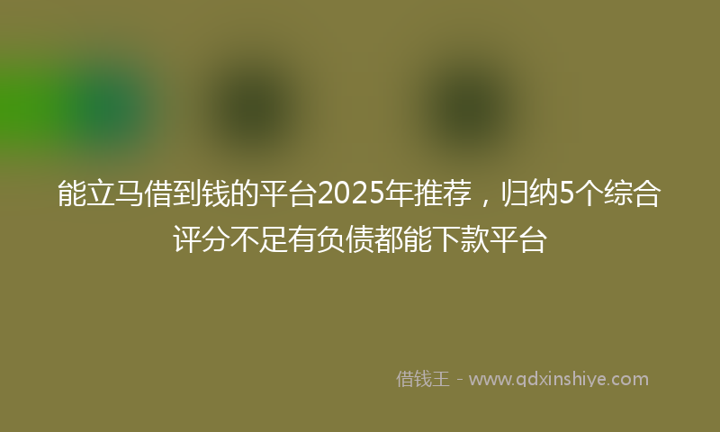 能立马借到钱的平台2025年推荐，归纳5个综合评分不足有负债都能下款平台