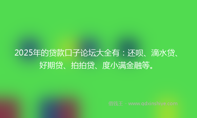 2025年的贷款口子论坛大全有：还呗、滴水贷、好期贷、拍拍贷、度小满金融等。