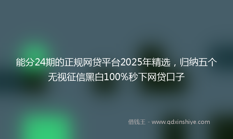 能分24期的正规网贷平台2025年精选，归纳五个无视征信黑白100%秒下网贷口子