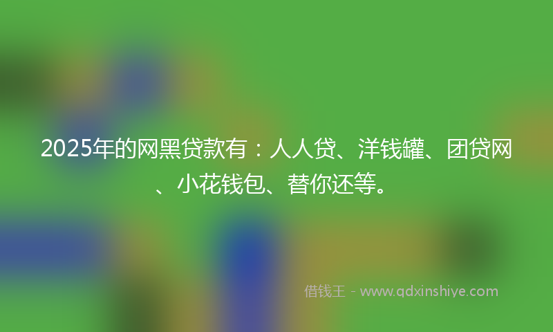 2025年的网黑贷款有：人人贷、洋钱罐、团贷网、小花钱包、替你还等。